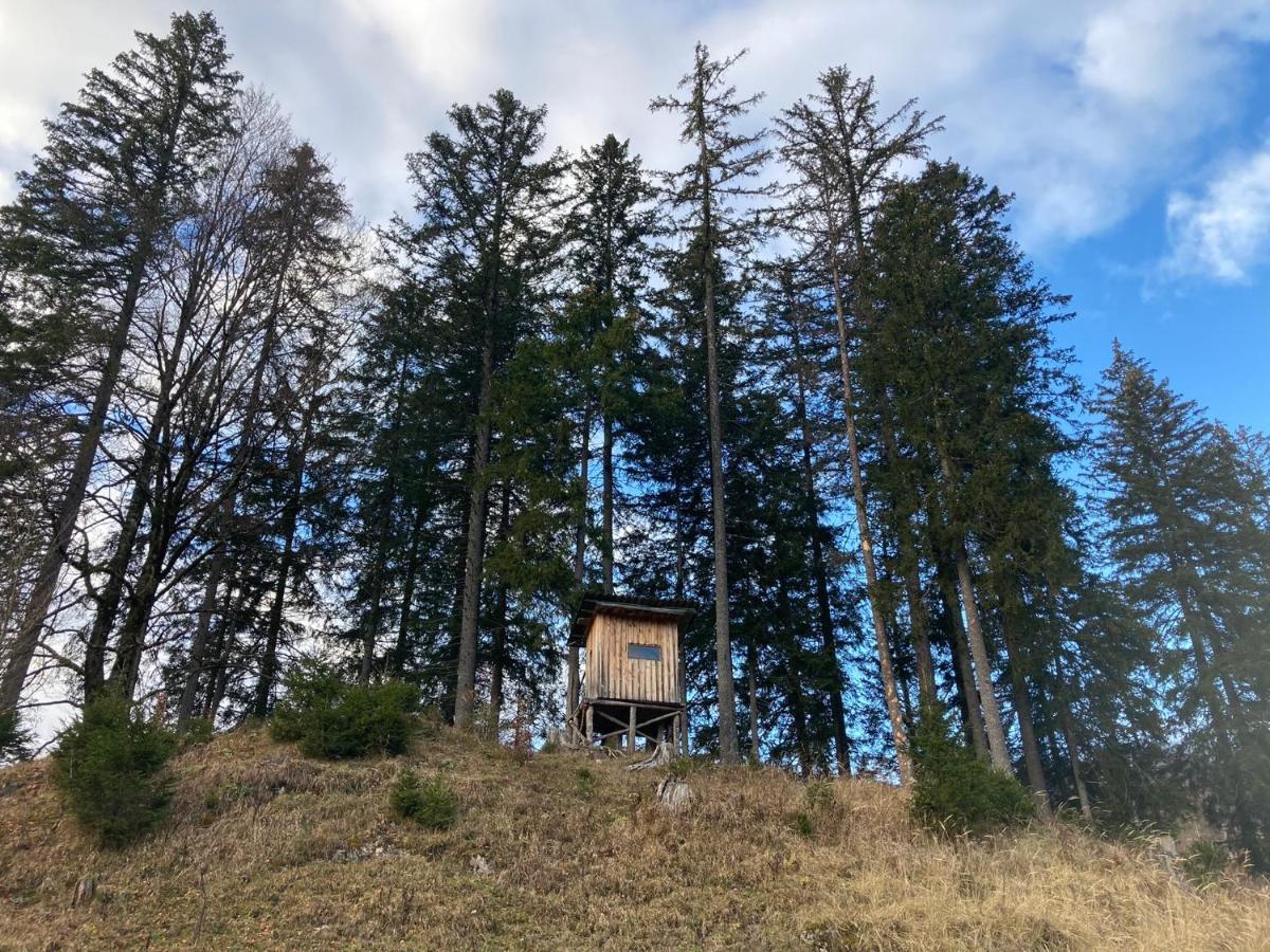 Chalet 윌달펜 외부 사진